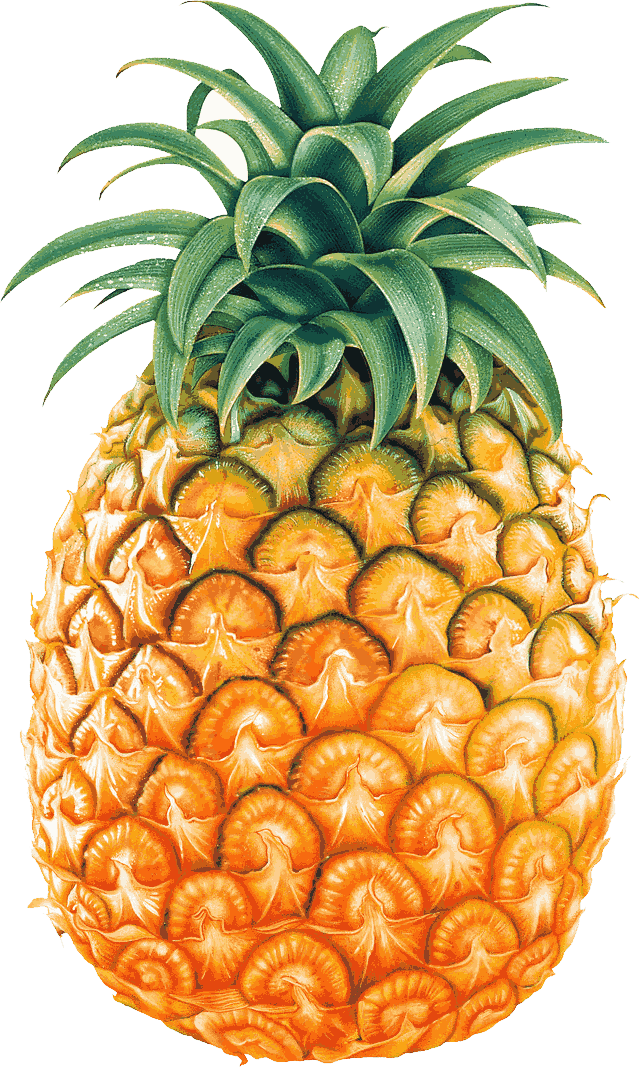pineapple