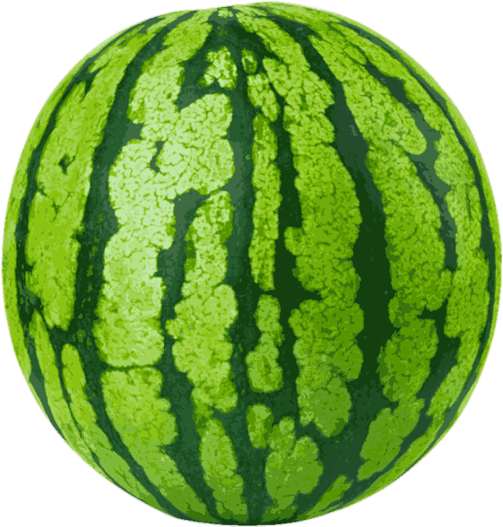 watermelon